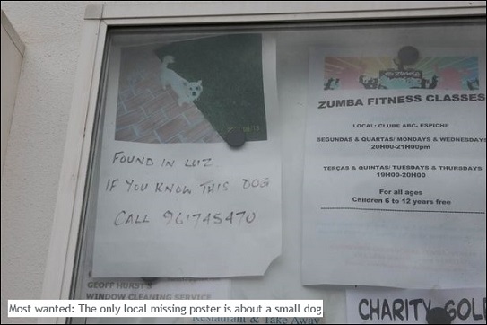 Most wanted: The only local missing poster is about a small dog